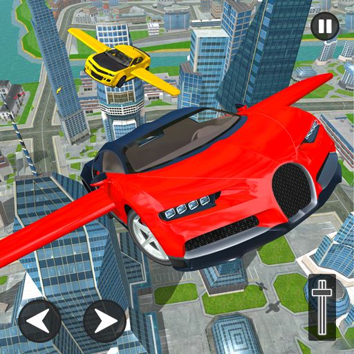 Flying Car